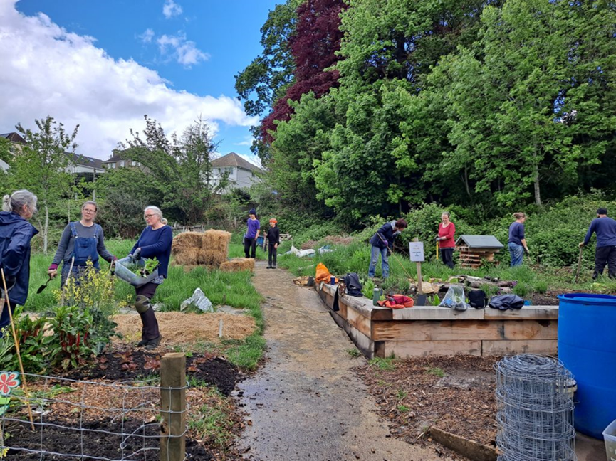 Volunteers working in Pagan Hill community garden Stroud