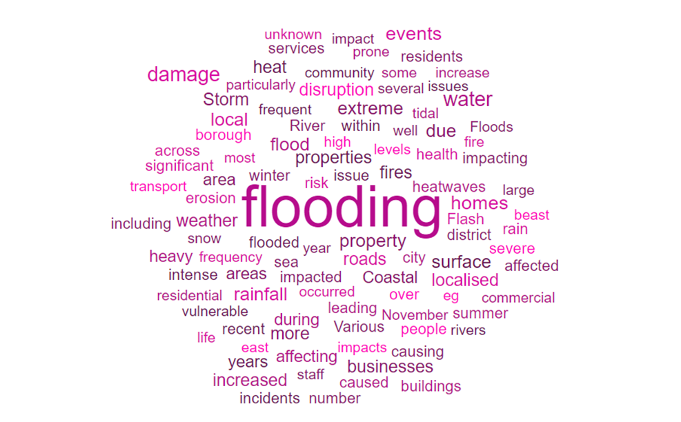 Word cloud showing the relative frequency of words in text provided to describe the nature and consequences of climate related incidents affecting respondents' local authorities. The word "flooding" predominates over other words by a wide margin, followed by "water", "damage", "events" and "homes".