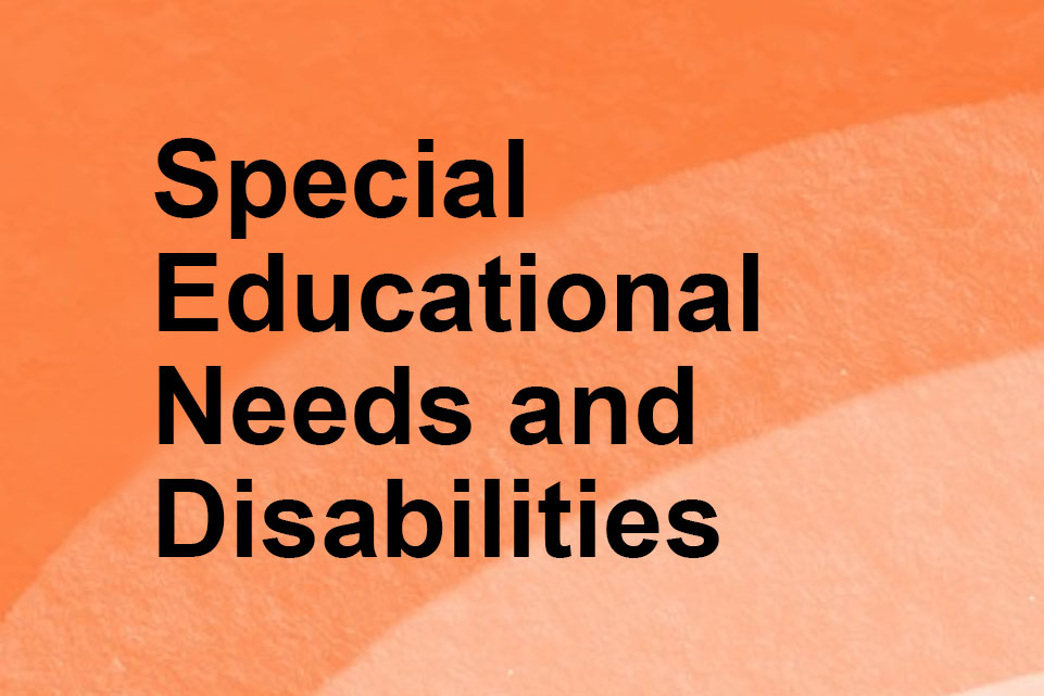 Special Educational Needs and Disabilities (SEND) | Local Government ...