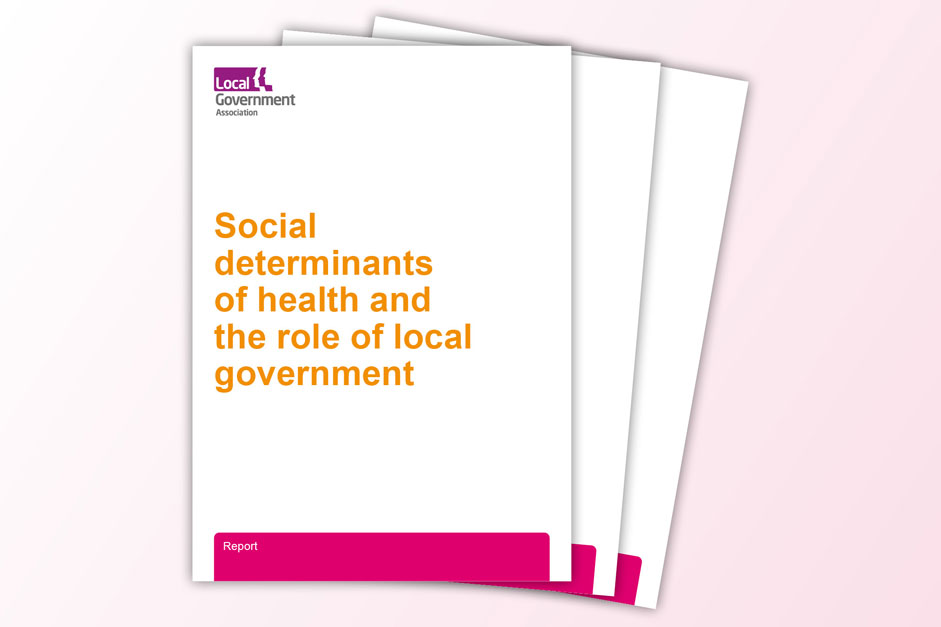 Social determinants of health and the role of local government | Local ...