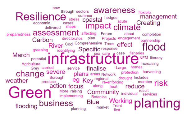 Word cloud showing the relative frequency of words among other climate change adaptation project areas which respondents mentioned that their authority had been involved in. Prominent words include "infrastructure", "green", "planting" and "resilience".