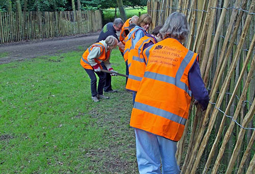 Volunteers in park working on fence
