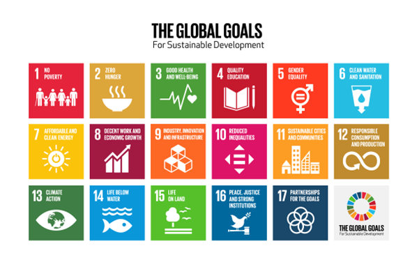 View the description of the Sustainable Development Goals figure