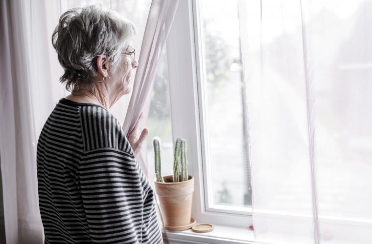 Elderly lady at a window