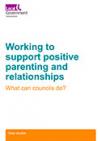 Working to support positive parenting and relationships front cover