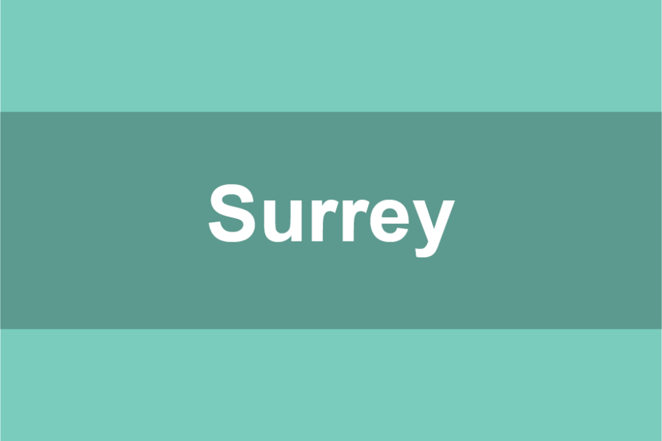 Surrey case study