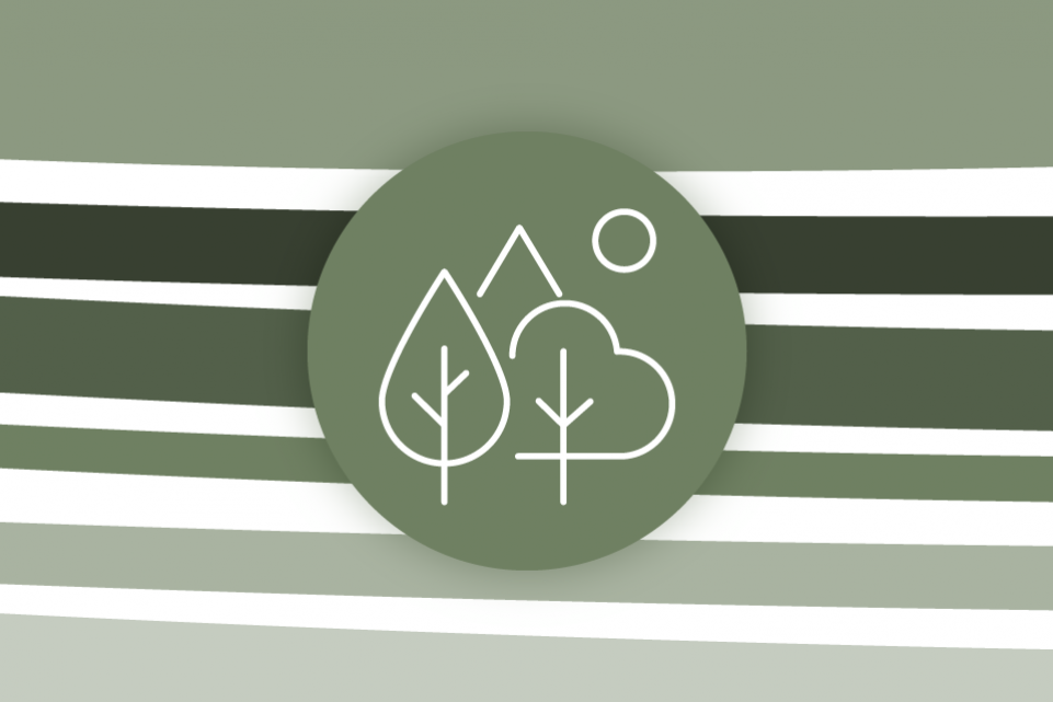 Re-thinking local: climate change and air quality - green stripes on a white background with a green icon of trees in the foreground