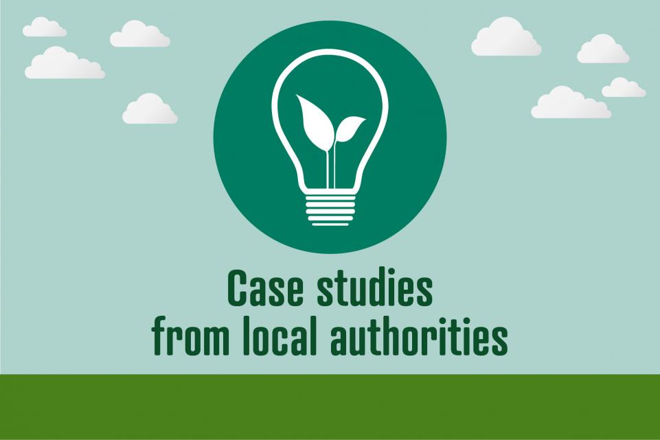 Image of light bulb icon with text below reading 'case studies from local authorities'