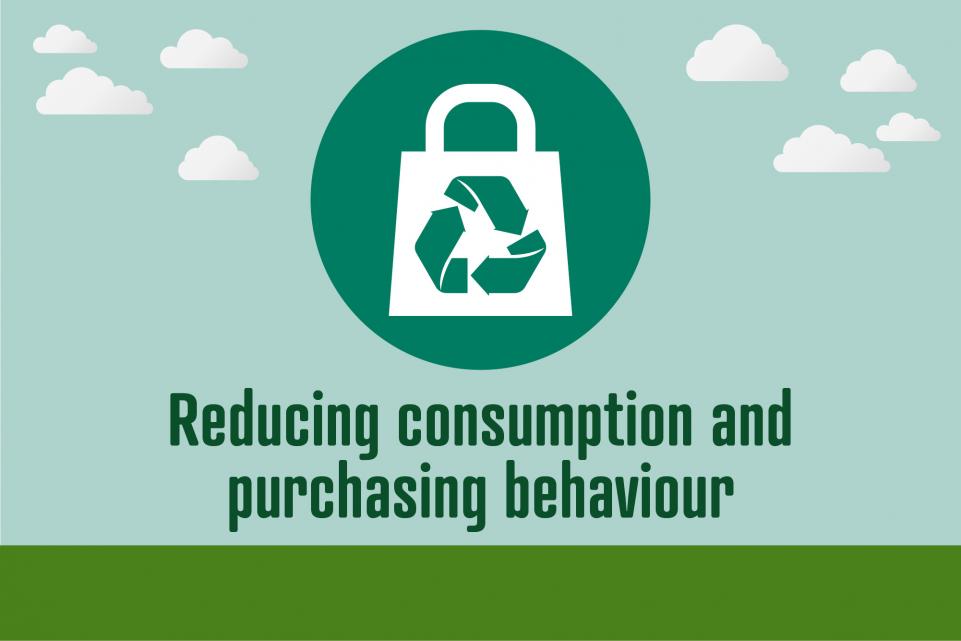 Picture of icon with bag and recycling logo, with text reading 'reducing consumption and purchasing behaviour'